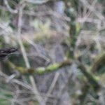 Photo taken by Graeme W