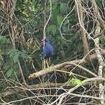 Photo taken by Touraj K