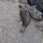 Photo taken by Elise C