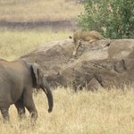 Photo taken by Kristin M