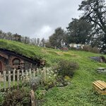 Photo taken by Erin C