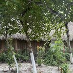 Photo taken by Lisa G