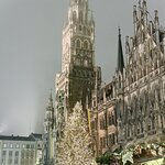 Photo taken by Diane C