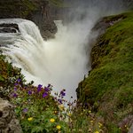 Photo taken by Michael H