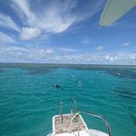 Photo taken by Daniel S