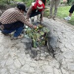 Photo taken by Gerald L