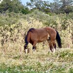 Photo taken by sam s