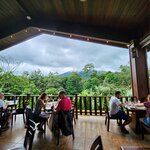 Photo taken by Tenley G