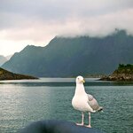 Photo taken by Dani L