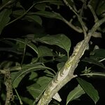 Photo taken by Susan D