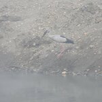 Photo taken by Cayden S