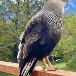 Photo taken by Terry M