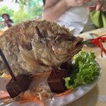 Photo taken by Wesley C