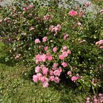 Photo taken by Patricia P