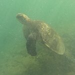 Photo taken by Ben S