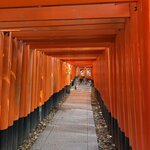 Photo taken by Marianne O