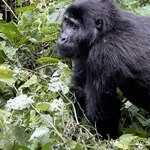 Photo taken by Michael L