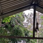 Photo taken by Linda P