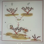 Photo taken by Shannon S