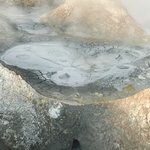 Photo taken by alton r