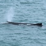 Photo taken by stefanie c