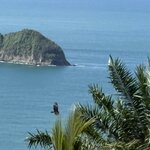 Photo taken by Ora Y