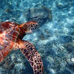 Photo taken by Dixie W