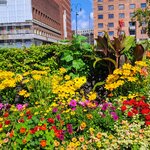 Photo taken by Tamara N