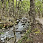 Photo taken by Stefani C