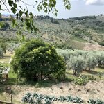 Photo taken by Mark V