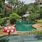 Photo taken by Patrick B