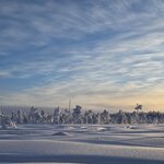 Photo taken by Anna P