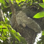 Photo taken by Kate R