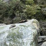 Photo taken by kevin c