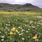 Photo taken by Cara W