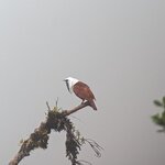 Photo taken by David G