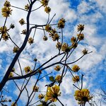 Photo taken by Brett F