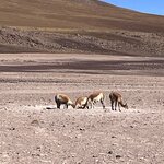 Photo taken by Shirley S