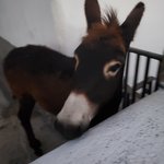 Photo taken by Patricia K