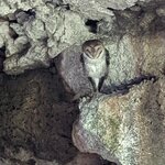 Photo taken by Jennifer A