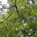 Photo taken by Lauren A