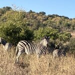 Photo taken by rhonda c