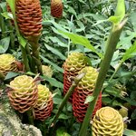 Photo taken by Erin K