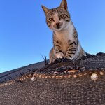 Photo taken by Andrew A