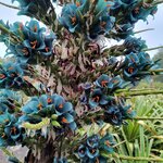 Photo taken by Kaitlin J