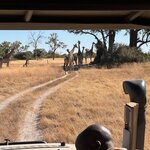 Photo taken by Tom B