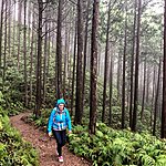 Beautiful day despite the raing | Photo taken by Joost S