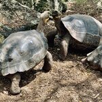 Photo taken by Katarzyna W