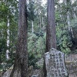 Photo taken by Daniel D