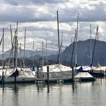 Photo taken by Lisa H